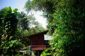 Wooden Hut Koh Kood